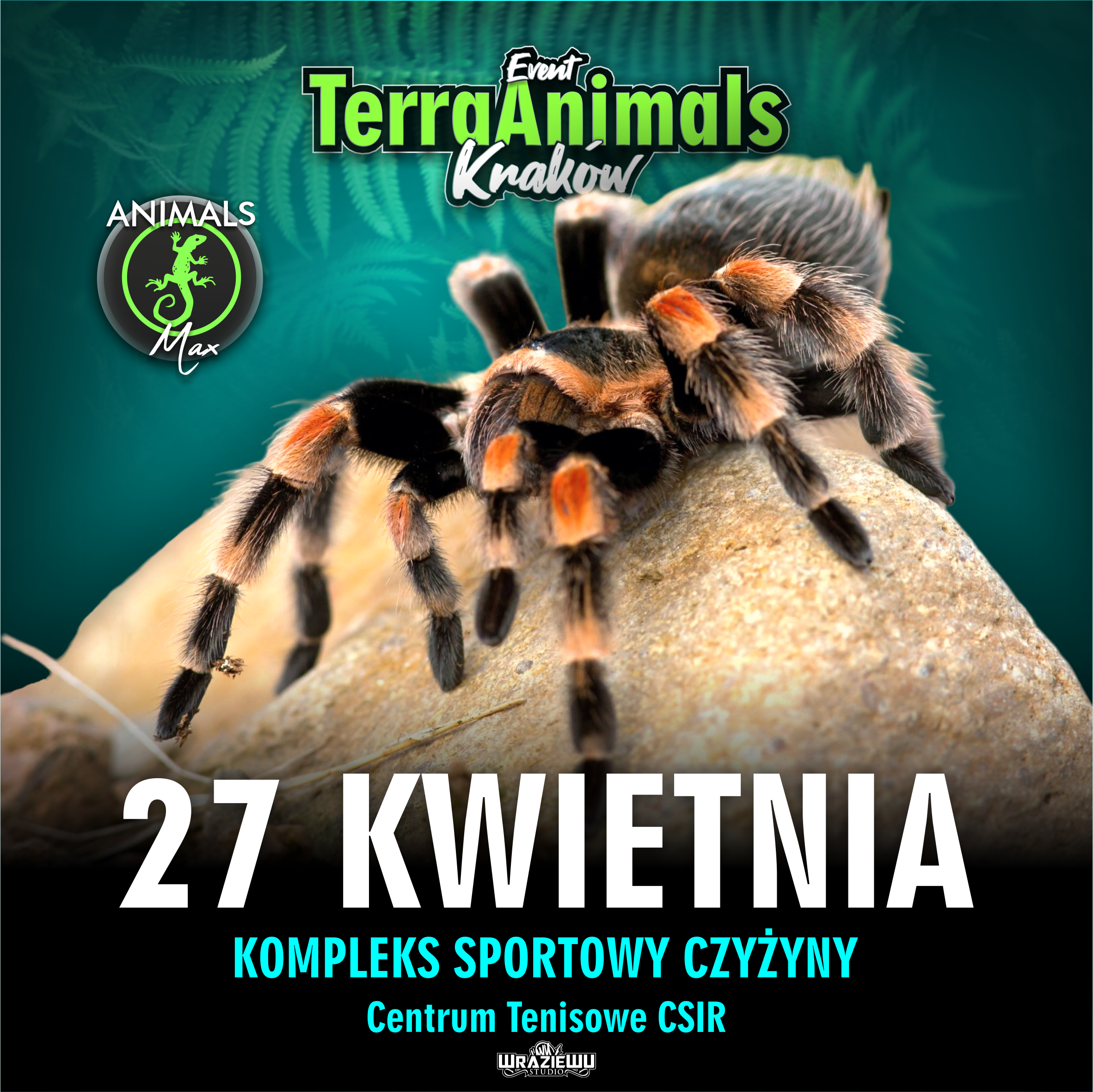 Czyzyny Dodatkowy Kwadrat 2