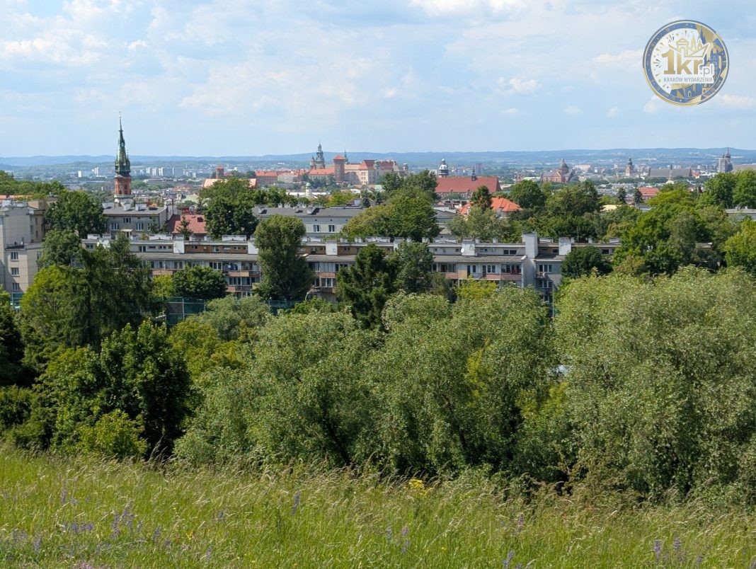 Piknik z widokiem? Odkrywamy nieoczywiste zielone zakątki Krakowa i okolic Zielony Krakow Widok Z Kopca Krakusa
